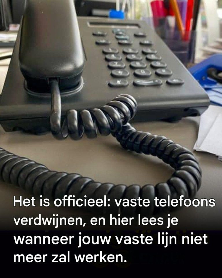 396c9822-1b00-409e-b48d-6aaf6d2c08c7