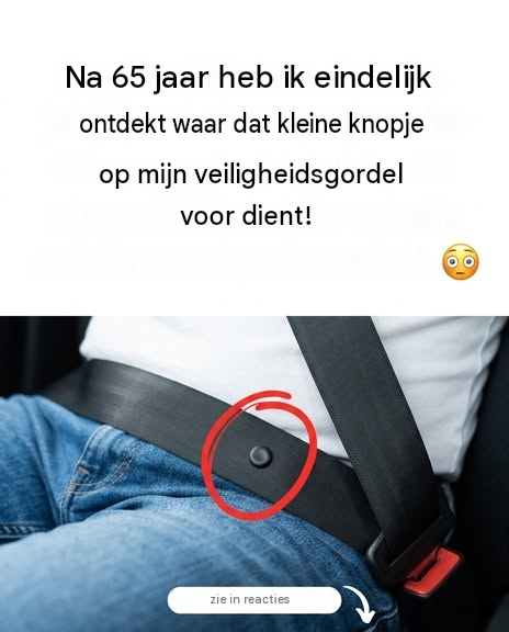 42144980-d79d-45a9-9f42-7e67d9cd40da 42144980-d79d-45a9-9f42-7e67d9cd40da