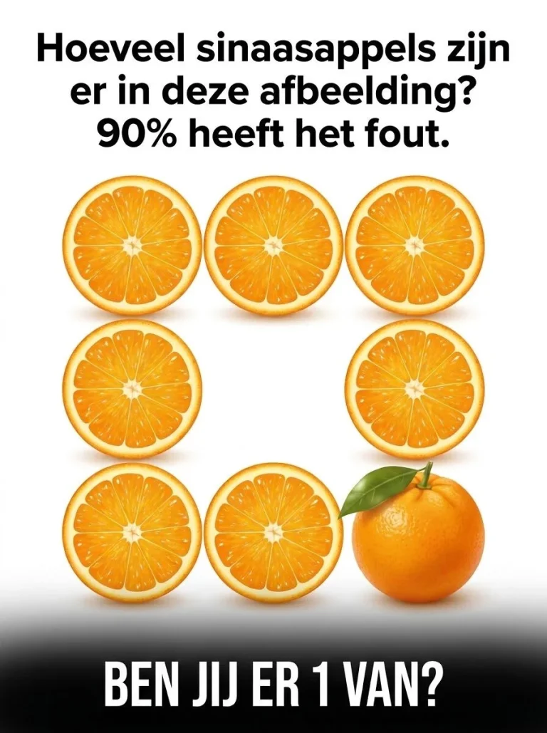 758573431_1046522358169021_7285991121562693590_n