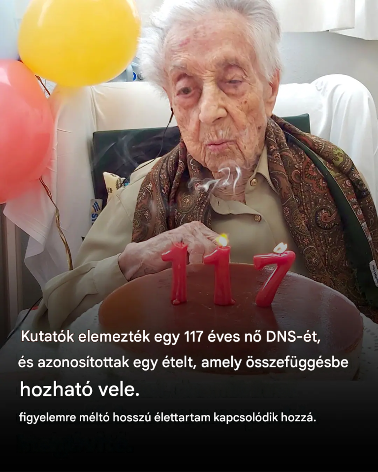 89955a8d-8531-47ab-a11e-b1b84fffce2d