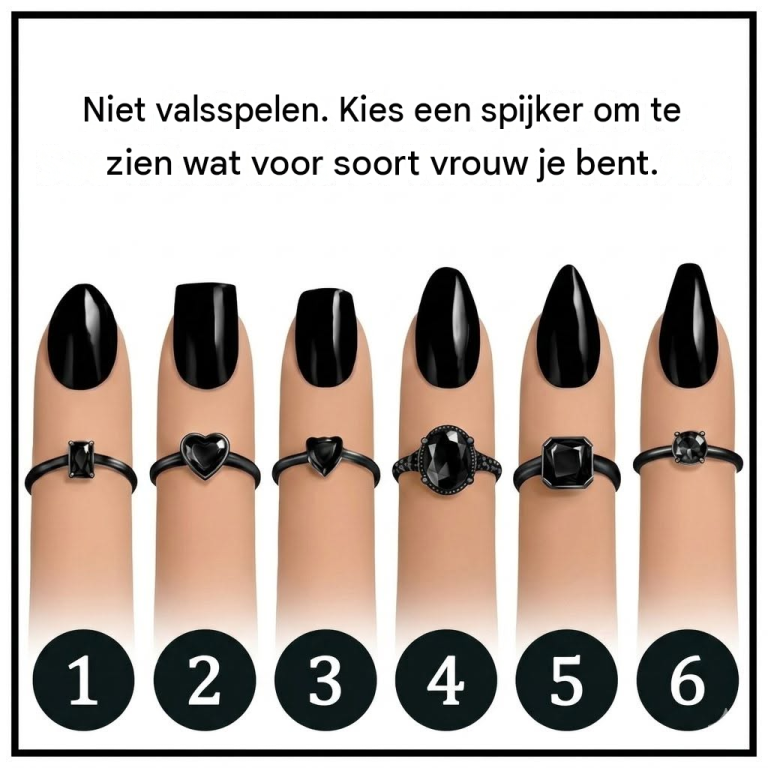 translated_image_nl (1)