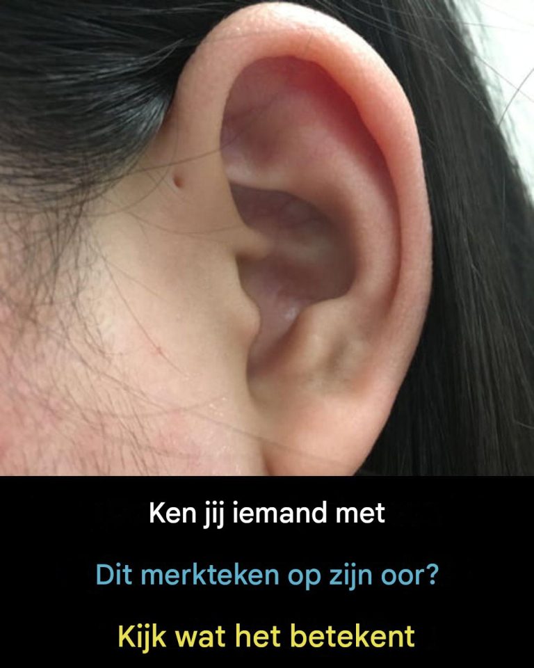 02c2b53d-fbed-48d2-bcdb-c3acec19148a