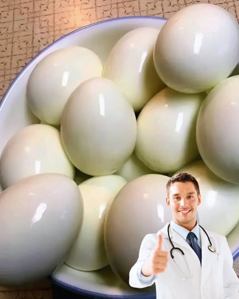 787179117_122121269438880153_8334489799158095462_n